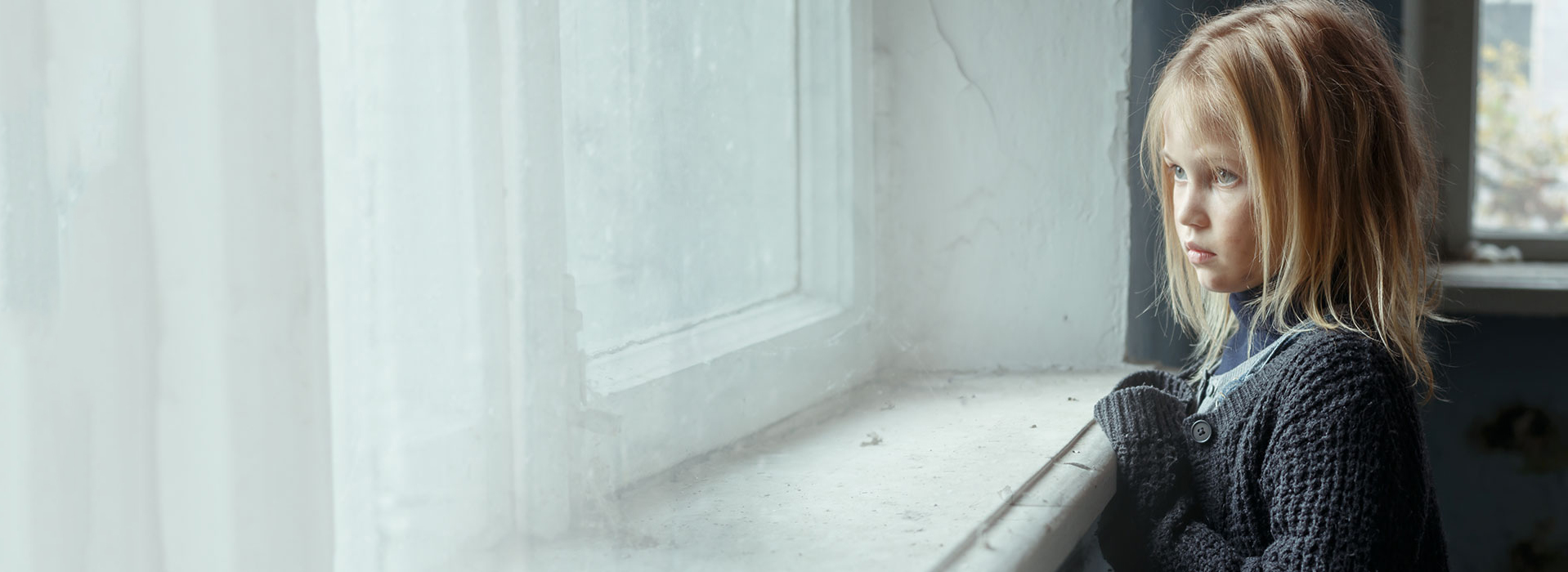 Home Banner 3