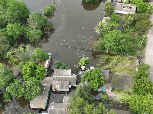We Have No Water Now 7
