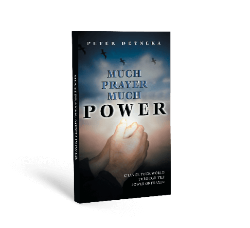 Ebook Cover Page Paid Media Mockup@2x