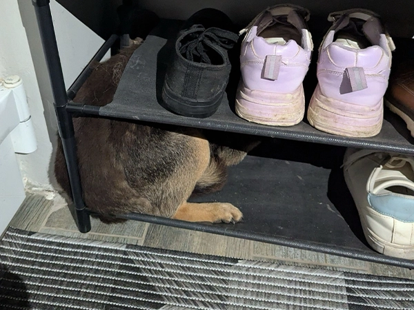 260209 Sga 2026 Sga.org Stories 11 26 Photo 14